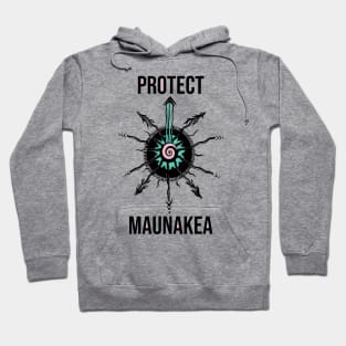 Protect mauna kea Hoodie